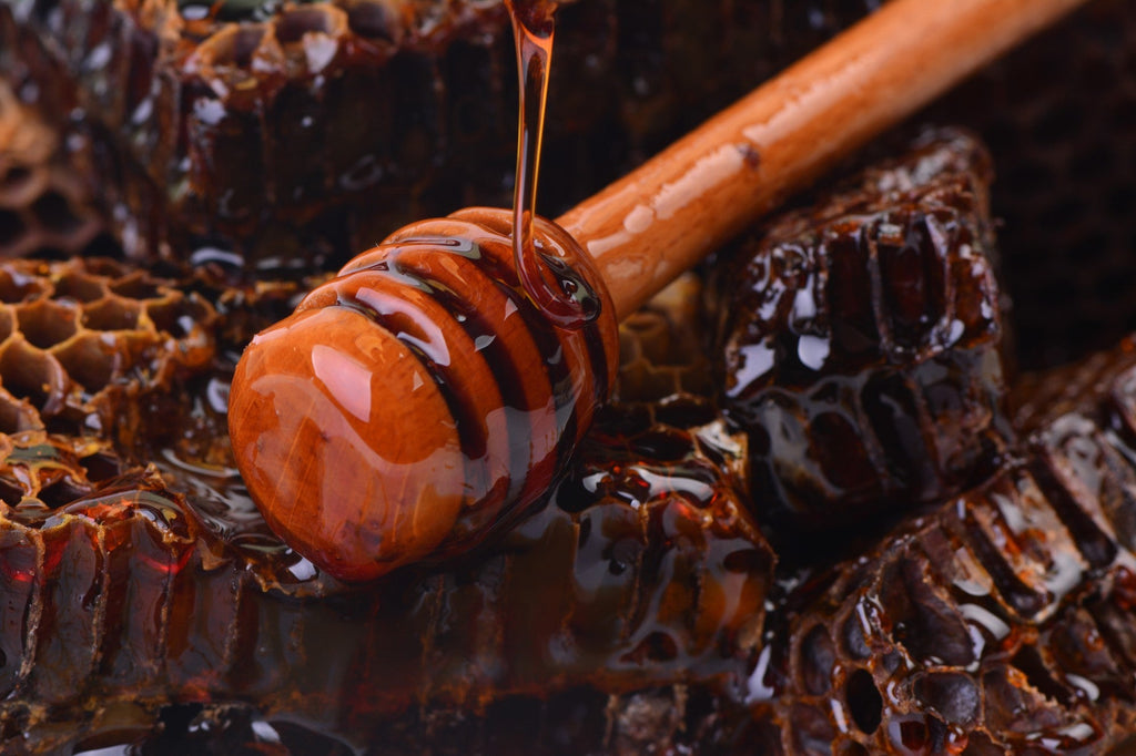 Buckwheat Honey comb