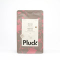 Pluck Tea - Apple Spice (30 tea bags)