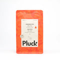 Pluck Tea - Gingerbread Spice (30 tea bags)