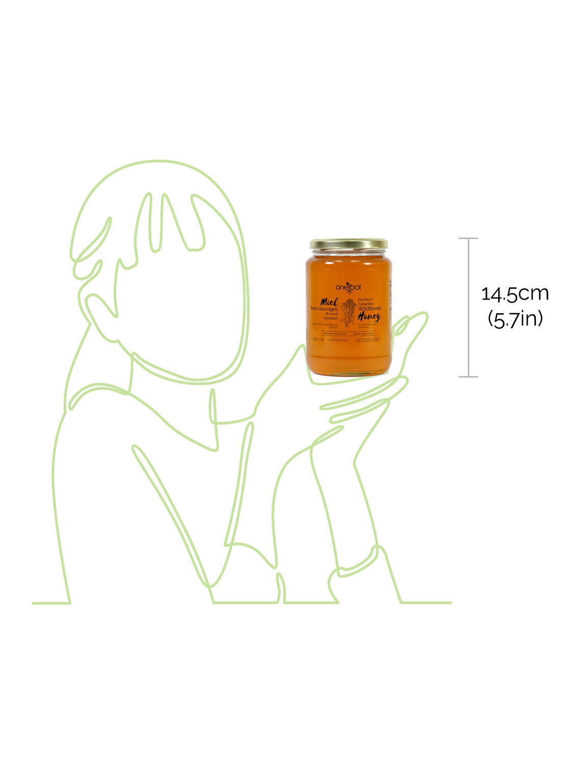 Natural Boreal Forest Wildflower Honey Liquid - 1kg
