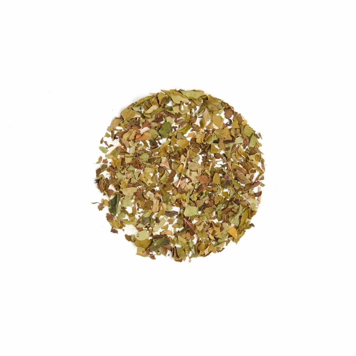 Genuine Tea - Menthe et moringa biologiques